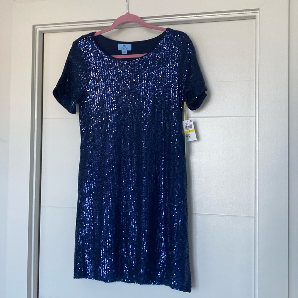 Sequined Blue Dress